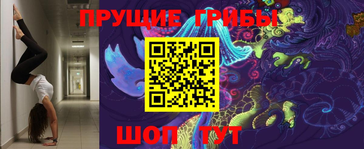 Псилоцибиновые грибы Cubensis Алушта